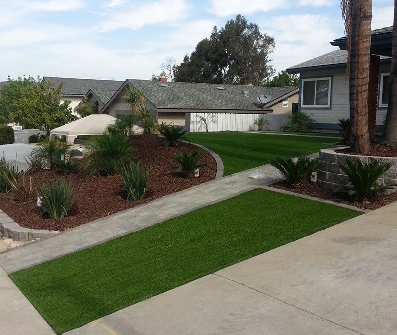 To turf or not to turf?